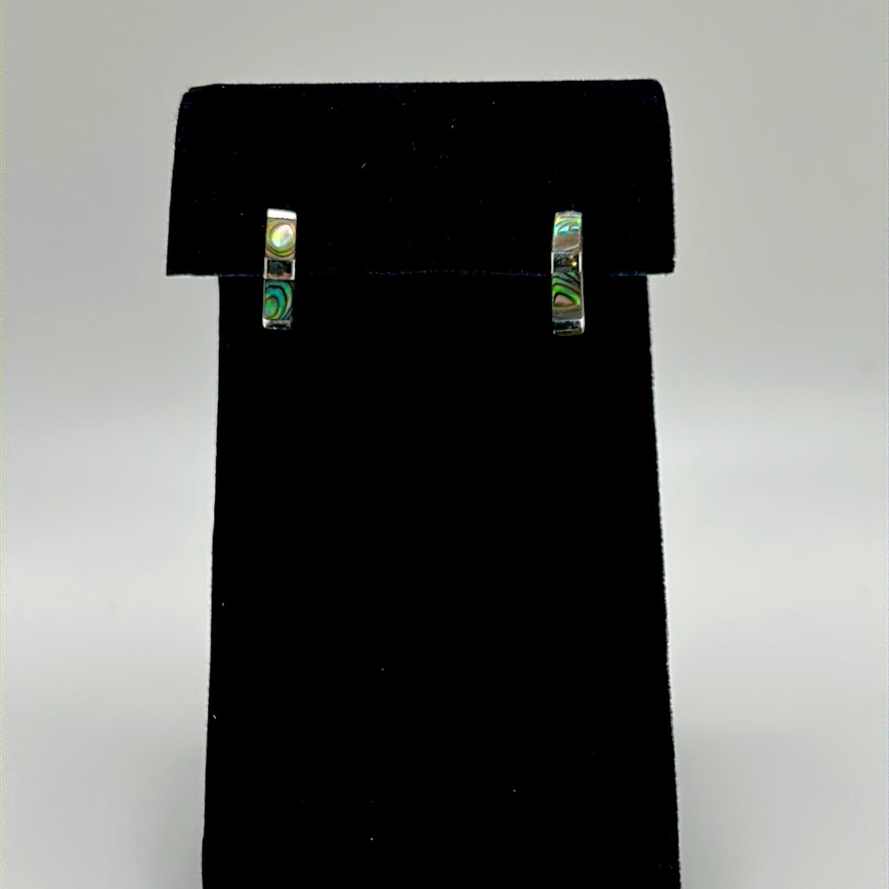 Abalone earrings